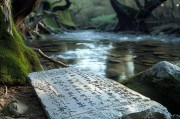秦岭 death后公积金办理指南