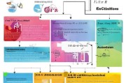 阎良区技能补贴申请全攻略，政策解读、流程指引与常见问题解答