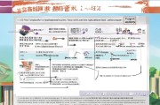 福建莆田就业补贴申请指南，政策解读、流程详解与实用贴士