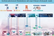 遂昌人才补贴申请流程全攻略，从条件到发放，一文读懂