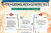 广州待业补贴申请指南，条件、流程、材料全解析，助你顺利申领