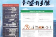 深圳大学生补贴申请全攻略，政策解读、流程指南与注意事项