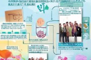 春风行动补贴申请全攻略，从政策解读到实操指南，助你顺利申领