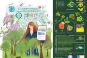义务植树春季补贴申请指南，政策解读与流程指引