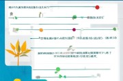 深圳莲塘补贴申请全流程指南，从条件到领取一文详解