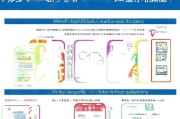 新疆技能补贴申请流程详解，政策解读、步骤指南与注意事项