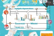 申请国外留学流程详解