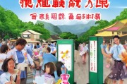 亳州返乡补贴申请指南，助力游子归乡，共绘家乡新篇