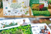 宝鸡市耕地惠农补贴申请指南，政策解读、流程详解与惠民实效