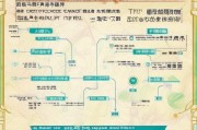 中医证书补贴申请全攻略，条件、流程、注意事项详解