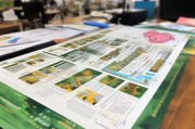 养猪申请补贴全攻略，政策解读、流程详解与实用技巧