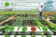 蔬菜机械农机补贴申请指南，政策解读与实操全流程