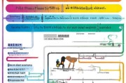 社保失业补贴申请全攻略，条件、流程、材料一篇搞定