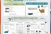 生活津贴补贴申请全指南，从资格认定到资金到账，详解关键步骤