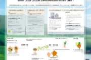 天镇县高龄补贴申请指南，条件、流程、注意事项全解析