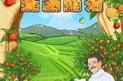 洞口柑桔补贴申请指南，政策红利直达田间，助力果农增收致富