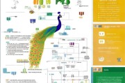 孔雀计划补贴申请全攻略，政策解读、流程指南与注意事项