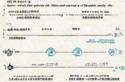 陕西高龄补贴申请指南，条件、流程与注意事项全解析