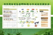 河南商丘蔬菜补贴申请指南，政策解读、流程详解与注意事项