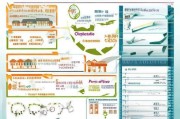 青岛租房补贴申请全攻略，条件、流程、材料及注意事项