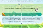 威宁农资补贴申请指南，政策解读、流程详解与注意事项