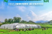 大棚管理补贴申请，政策赋能农业现代化，助力乡村振兴新征程