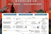 广西市人才补贴申请全攻略，政策解读、条件流程与实用指南