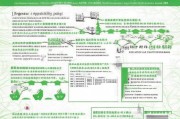 山东碳中和补贴申请全攻略，政策解读、流程指引与实战建议