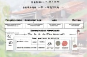 抚州高龄补贴申请补发全攻略，条件、流程、注意事项及常见问题解答