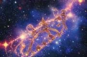 星星钱袋申请全攻略，从准备到成功，每一步都算数