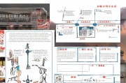 绍兴实习补贴申请全攻略，从了解政策到成功申请的详细流程