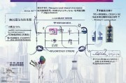 烟台市生活补贴申请指南，政策解读、申请流程与注意事项