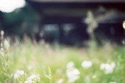 专利申请流程详解，从创意到授权的每一步
