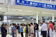 海口临时牌照发放地点解答