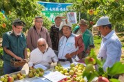 果园承包补贴申请，政策红利直达田间，激活乡村振兴新动能