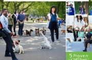 训犬师如何精准获客？这5个策略让你的训犬业务快速起飞！