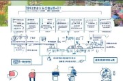 武鸣区求职创业补贴申请全攻略，政策解读、条件流程与注意事项