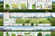 杭州家庭农场申请补贴全攻略，政策解读、流程指南与实用技巧
