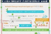 安徽就业补贴申请注册全攻略，流程、条件与注意事项