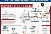 山东防疫补贴申请指南，政策解读、流程详解与注意事项