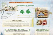 上海非遗补贴申请全攻略，政策解读、流程指南与成功案例