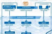 CSC（中国国家留学基金管理委员会）延期申请全流程指南