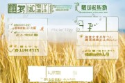 山东小麦保护补贴申请指南，政策解读、流程详解与注意事项