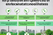 环境补贴取消申请，流程、注意事项与政策影响分析