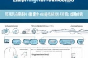 潜江市就业补贴申请指南，条件、流程、材料全解析