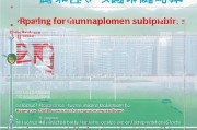 安徽失业临时补贴申请指南，条件、流程、注意事项全解析