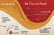 入党申请的清晰路径，一份详尽的入党申请流程图解析