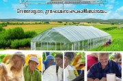 大棚补贴申请书，助力农业现代化，共筑乡村振兴梦
