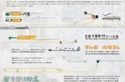 山东对公账户补贴申请全攻略，政策解读、条件与流程详解