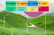 油茶种植补贴申请全攻略，从政策解读到资金到账，一文掌握关键步骤